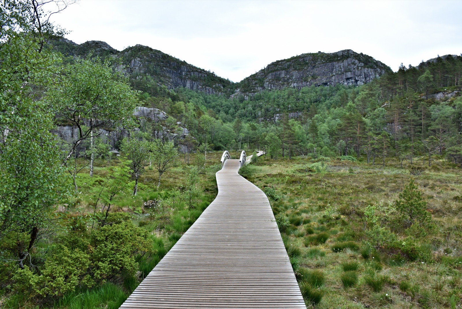 A wooden boardwalk across moorland on the trail towards Preikestolen